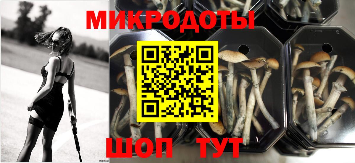 Псилоцибиновые грибы прущие грибы  Галлюциногенные грибы мухоморы  Карачаевск  Вход с VPN 